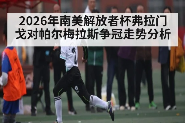2026年南美解放者杯弗拉门戈对帕尔梅拉斯争冠走势分析